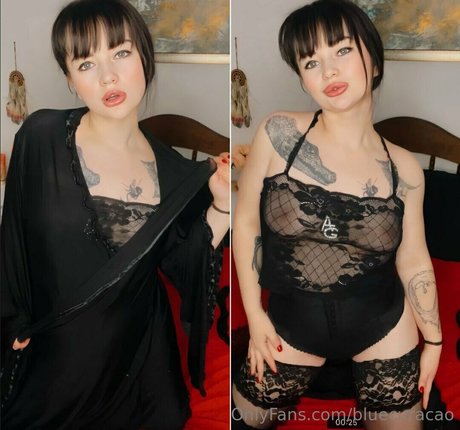 bluecuracao star best archive