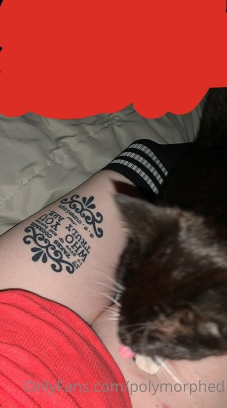 Polymorphed pornstar art photo