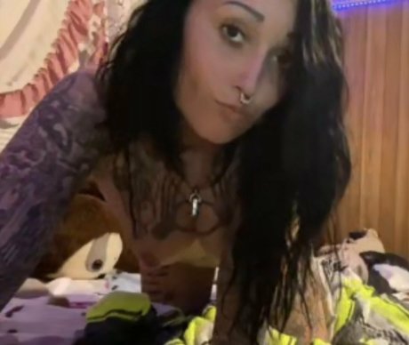 angelvicious porn star gallery