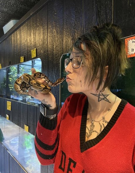 angelvicious pretty pornstar galleries