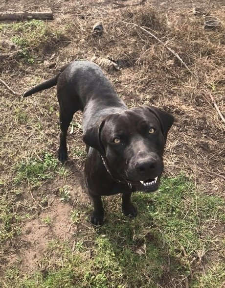 naughtyvettech pornstar beautiful img