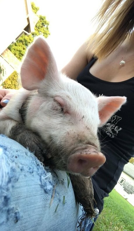 naughtyvettech pornstar nice gallery