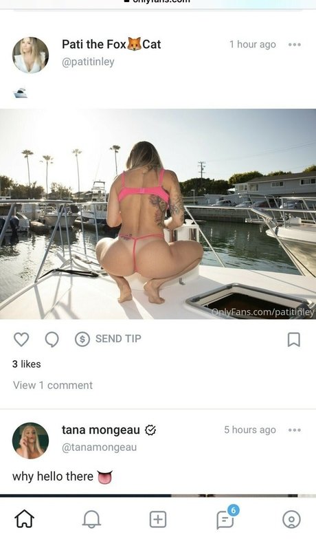 Pati Fontes art star image