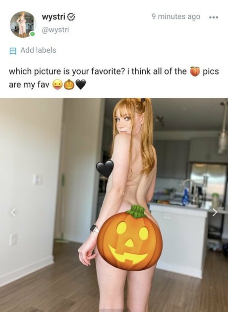 wystrifree perfect star archive