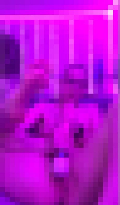 lexiveefree star top pictures