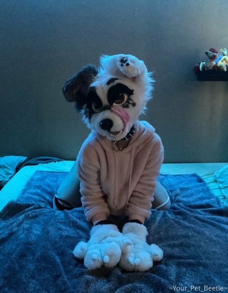 bra onlyfans nudes picture