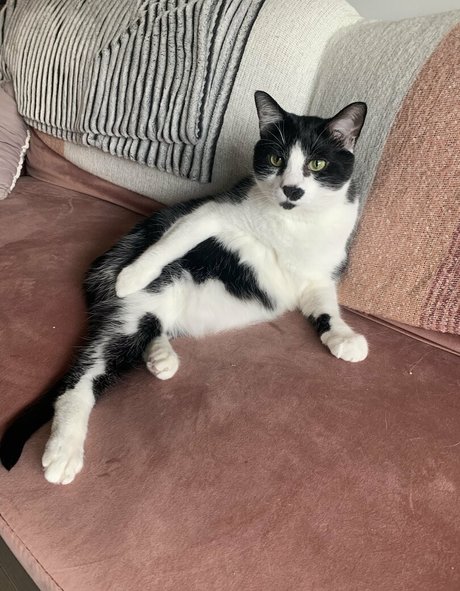 lauuu x actress pics