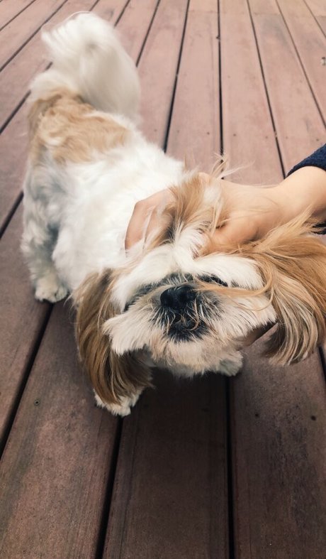 Leah Booth star sex photo