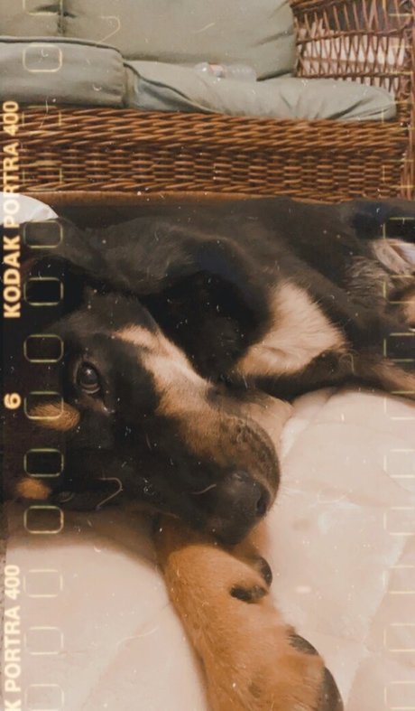 Leah Booth exclusive actress pic