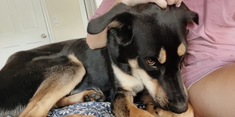 gay young onlyfans sex galleries