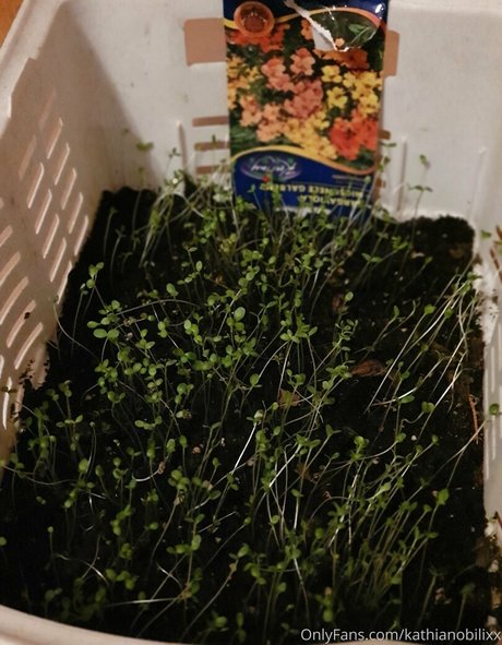 kathianobilixx art model img