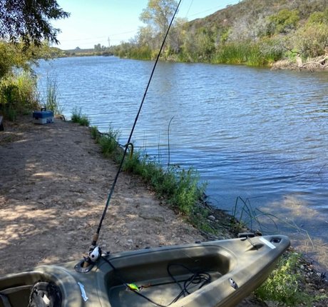 Sarai Fonseca nice actress archive