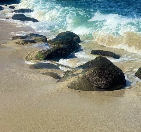 Sarai Fonseca xxx star img