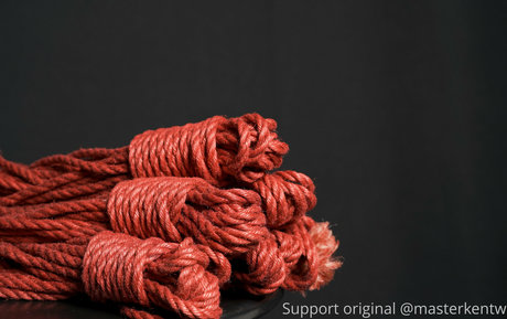 masterkentwplus model high quality pic