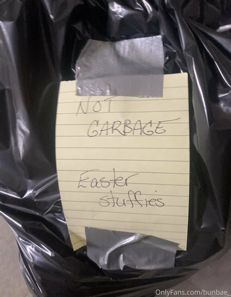 bunbae_ star nude image