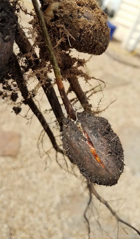 driftinggem nice model picture