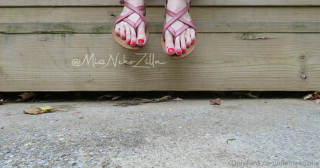 dietnekozilla model high quality img