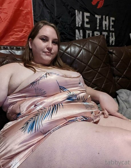 tabby cat95 Profile photo