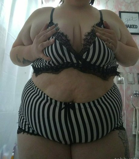 tabby cat95 star best galleries