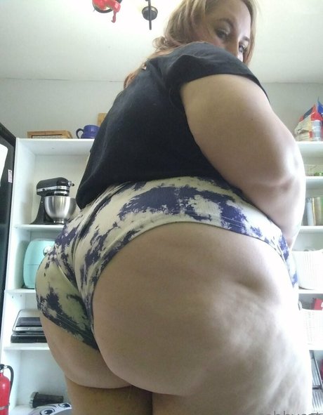 tabby cat95 free star gallery