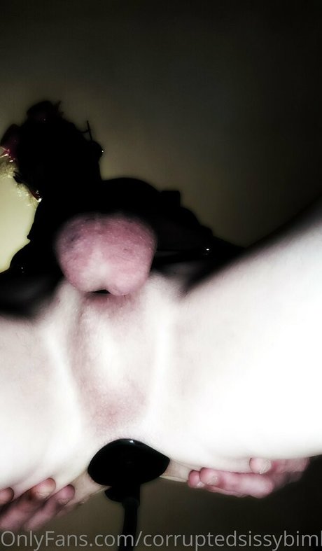 corruptedsissybimbodoll perfect star pictures