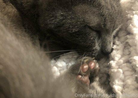 gay videos onlyfans sexy naked picture