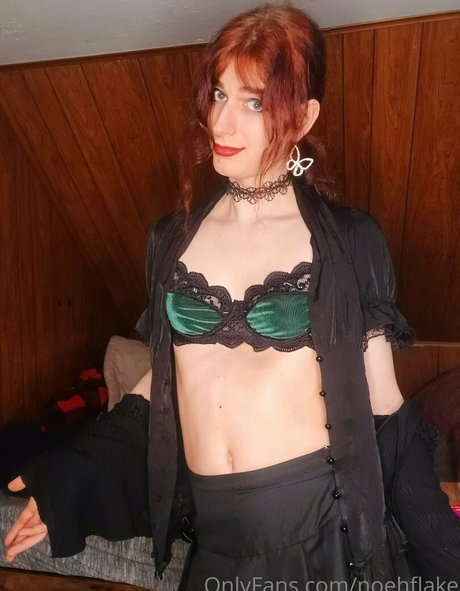 noehflake model hd pics