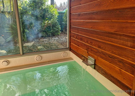 diaspicefree model nude gallery