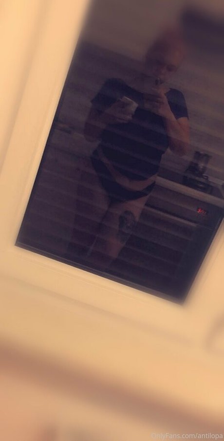 antilopa model high quality picture