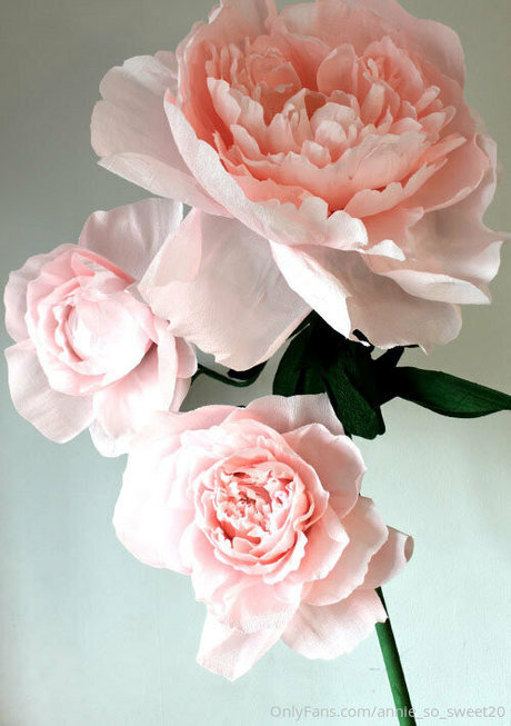 annie so sweet naked pornstar picture