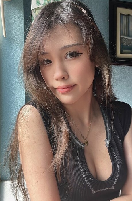 BasiilLeaf star perfect galleries