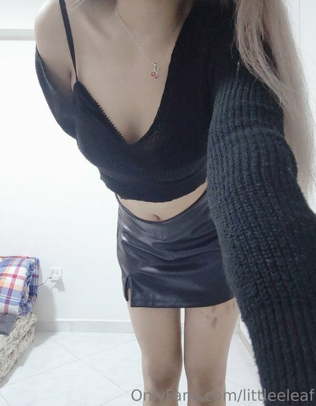 littleeleaf beautiful star img