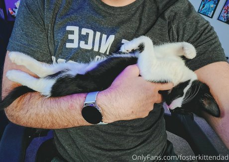 fosterkittendad perfect star photo