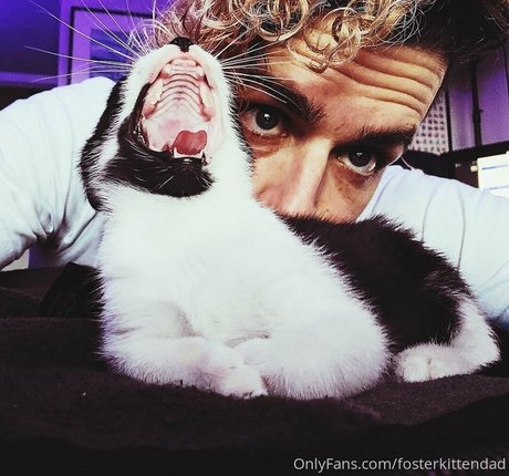 fosterkittendad perfect model archive