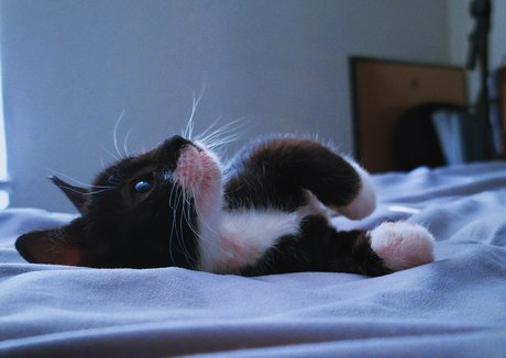 blonde shemale onlyfans art porn image