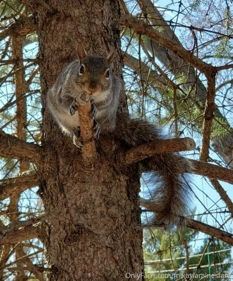 asian princess onlyfans sexy picture