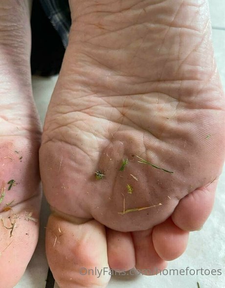 homefortoes perfect actress img