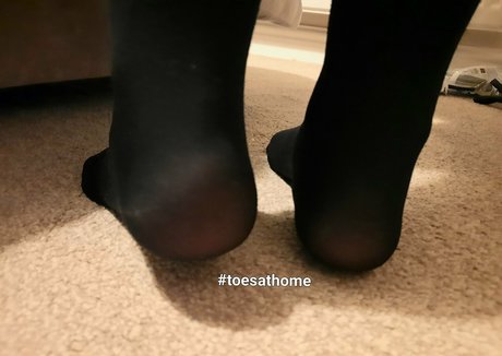 homefortoes top star image