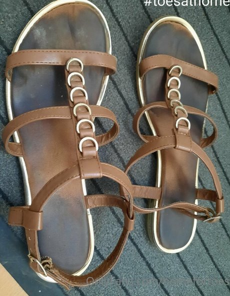 homefortoes pornstar top archive