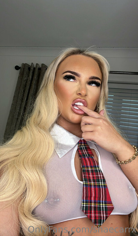 shaecarrx nude pornstar img
