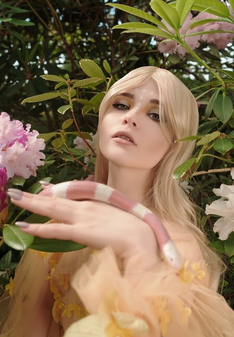 Di Simon perfect star images