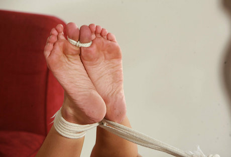 ginaraemichaels pornstar erotic photos