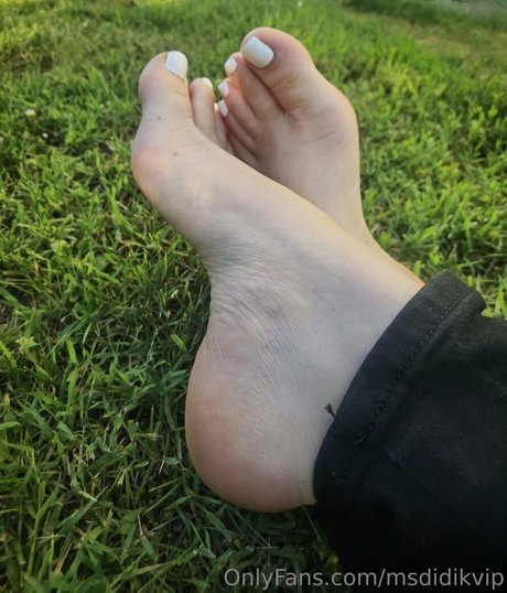 msdidikvip star high quality pictures