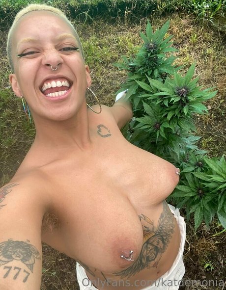 katdemonia top star galleries