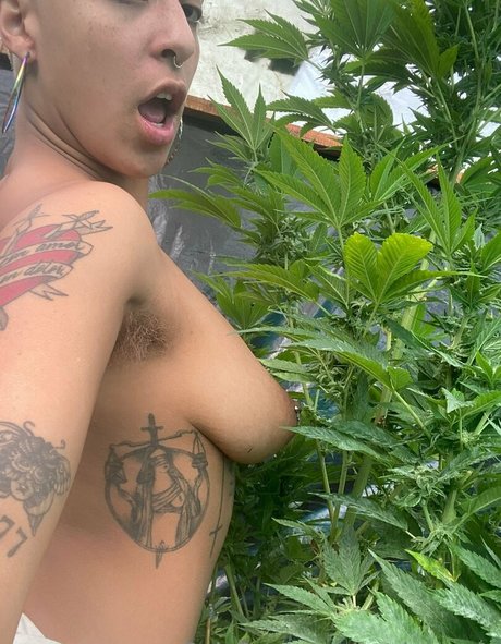 katdemonia pornstar erotic pics