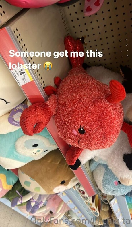 lil chinita porn model images