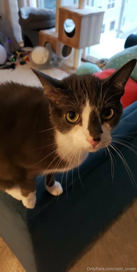 big tits petite onlyfans adult pics