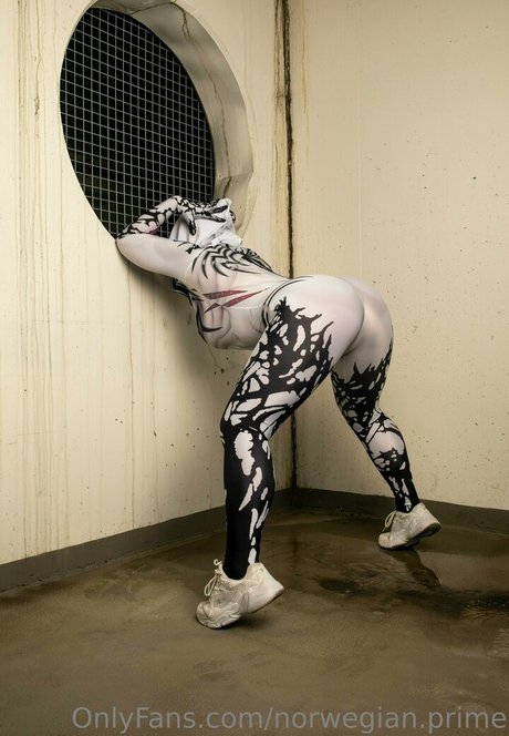 norwegian prime free star image