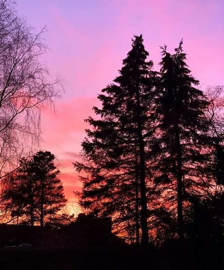 Natasha Thomsen star art archive