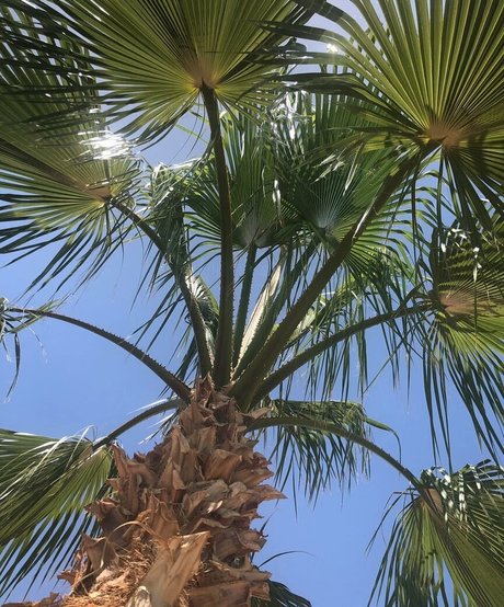 sex asian onlyfans hot pictures